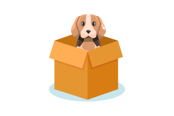 Dog Box