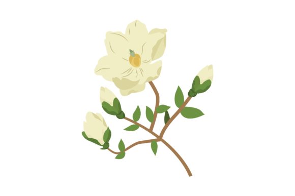 White Dog-Rose Digital Illustration